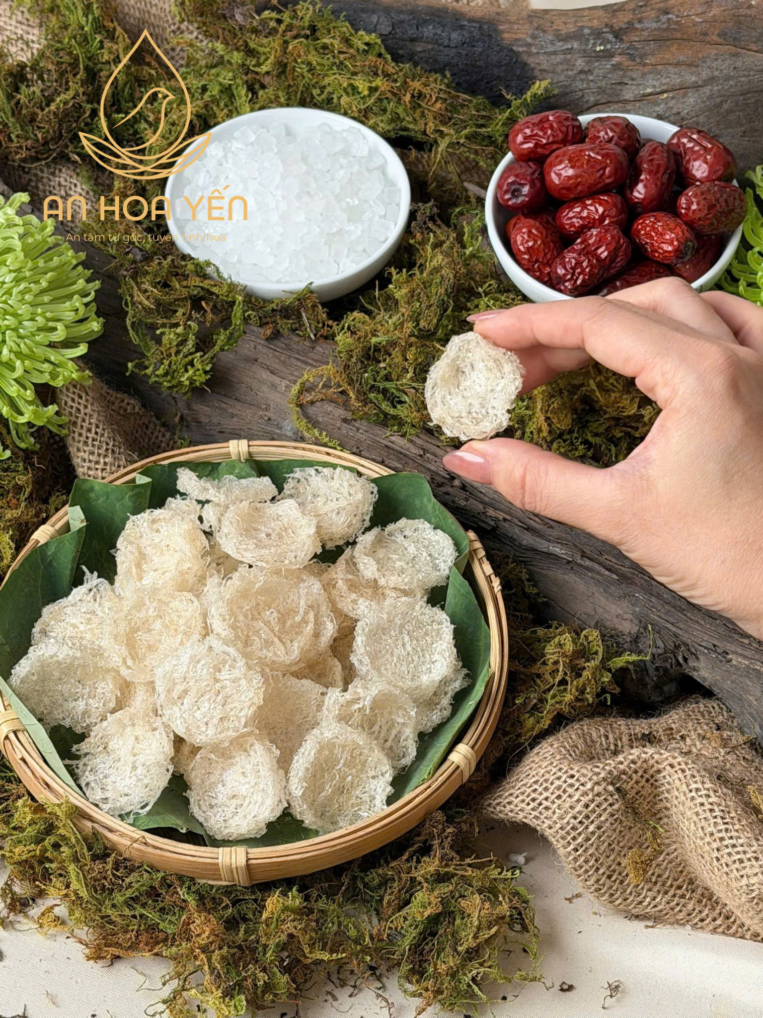 Yến cho dân văn phòng: chọn loại tiện và ít ngọt